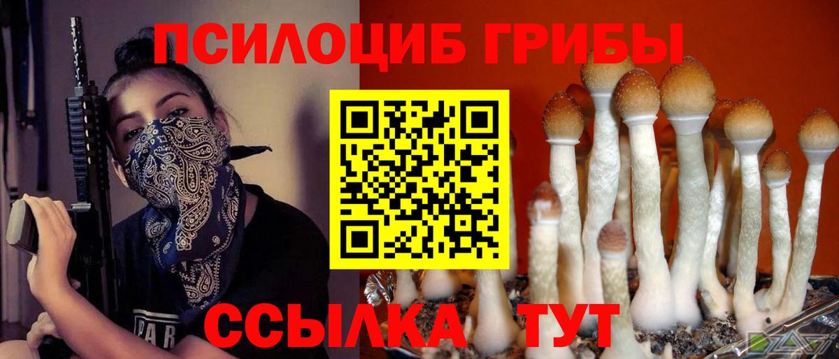 Нальчик  Галлюциногенные грибы мухоморы  Вход с VPN 