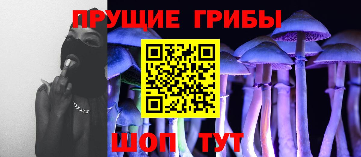 Канабис Нальчик